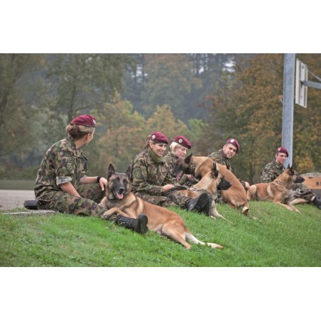 Postkarte: Hundeführer-Wettkampf SWISS OPEN