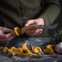 Opinel - N°8 Inox - Couteau à champignon