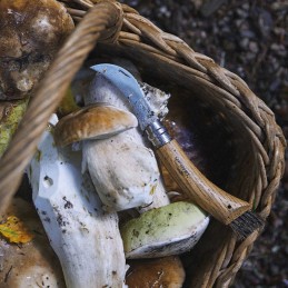 Opinel - N°8 Inox - Couteau à champignons en bois de chêne
