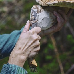 Opinel - N°8 Inox - Couteau à champignons en bois de chêne