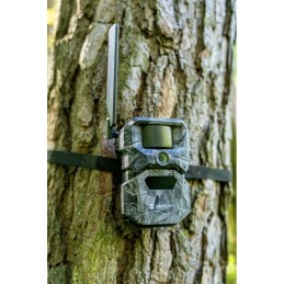 Hikmicro - Wildkamera T16