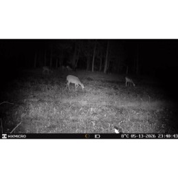 Hikmicro - Wildkamera T16